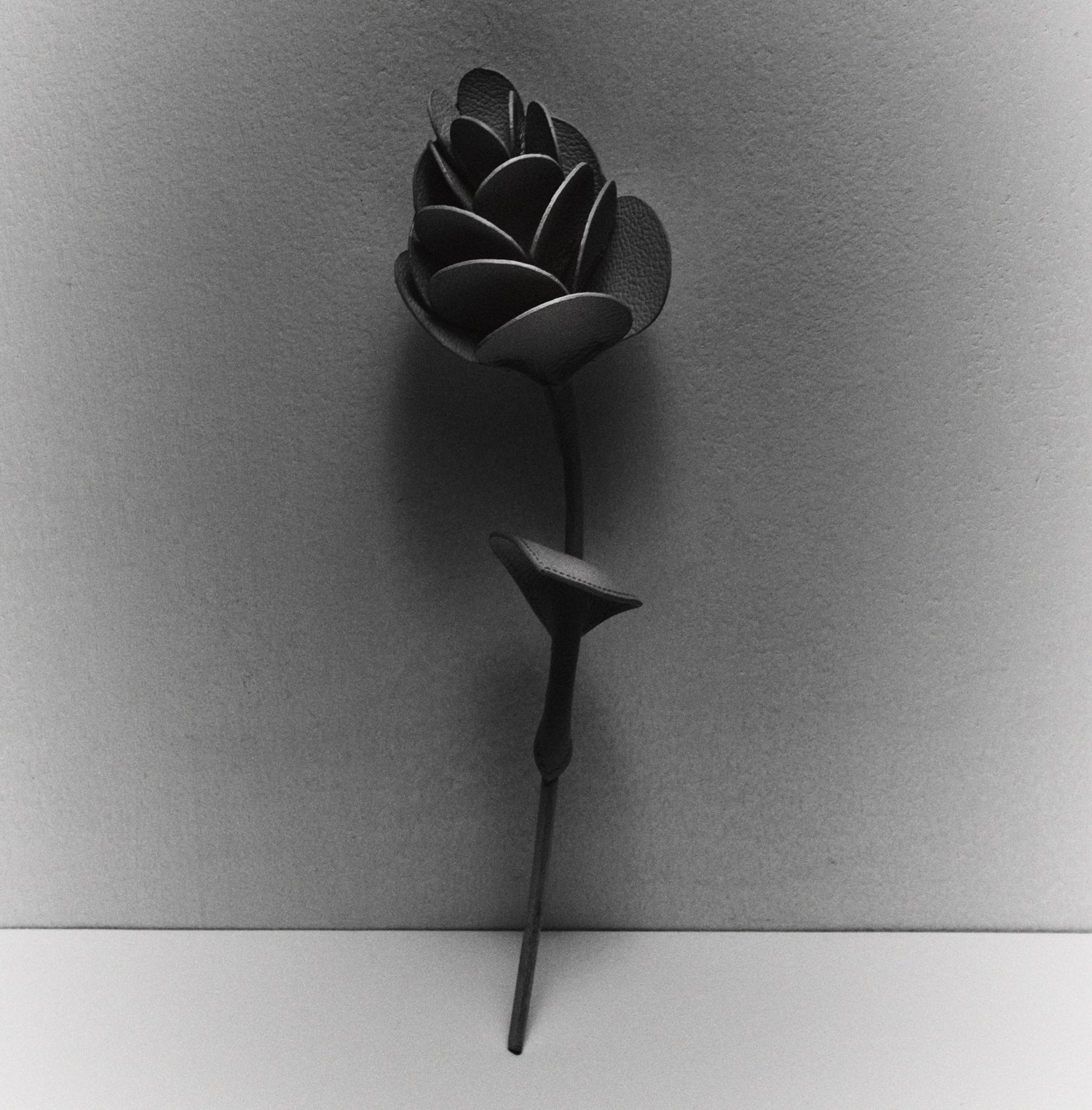 Single Flower