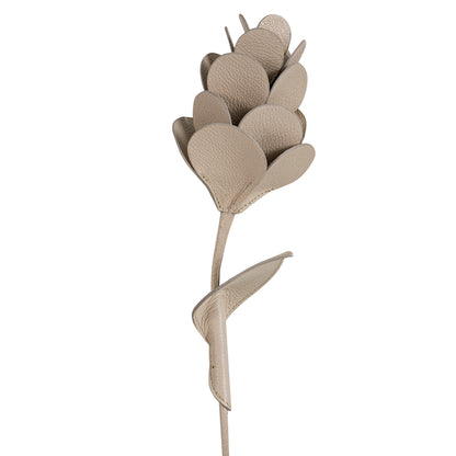 Objeto No. 01, Flor - Tabaco