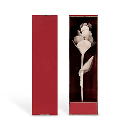 Objeto No. 01, Flor - Tabaco