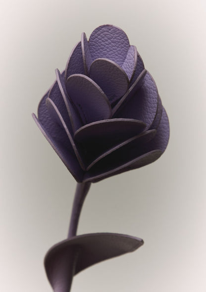 Objeto No. 01, Flor - Lavanda